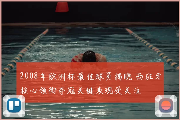 2008年欧洲杯最佳球员揭晓 西班牙核心领衔夺冠关键表现受关注