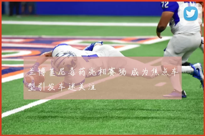 兰博基尼毒药亮相赛场 成为焦点车型引发车迷关注