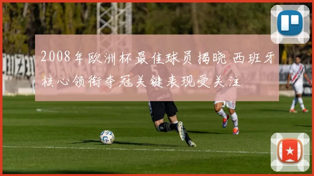 2008年欧洲杯最佳球员揭晓 西班牙核心领衔夺冠关键表现受关注