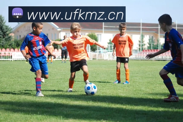 九游官方端网页版登录入口 - 九游(中国)APP 封面图